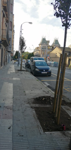 Actuacions en el verd urbà de Pallejà