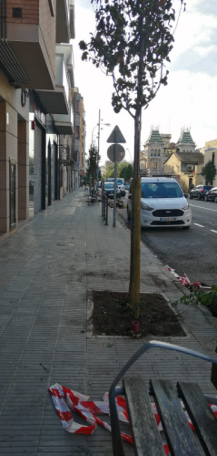 Actuacions en el verd urbà de Pallejà
