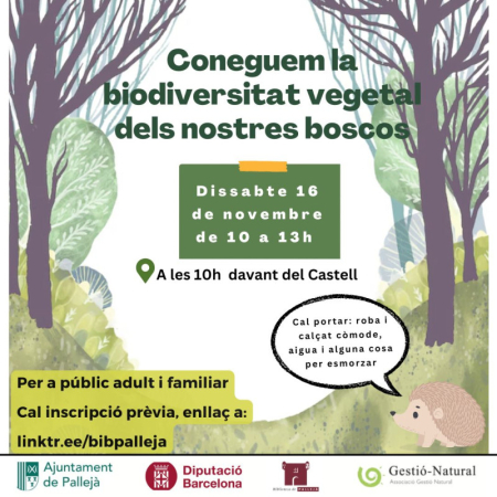 Coneguem la biodiversitat dels boscos pallejà
