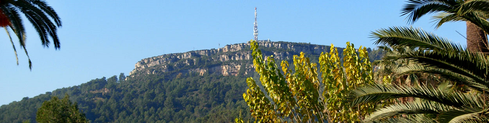 Capcalera web 04