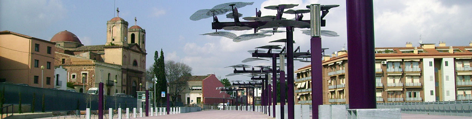 Capcalera web 08