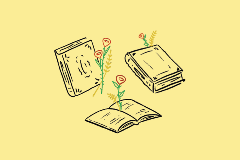 Sant Jordi 2025