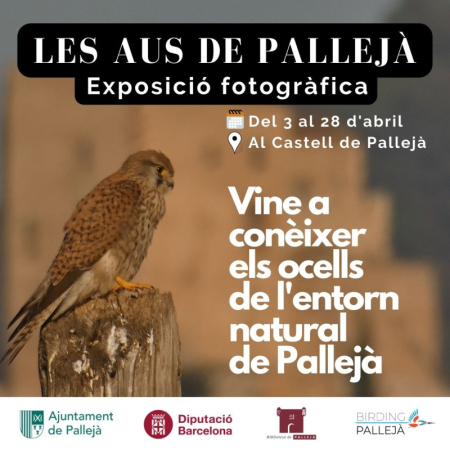 Cartell de l'exposició