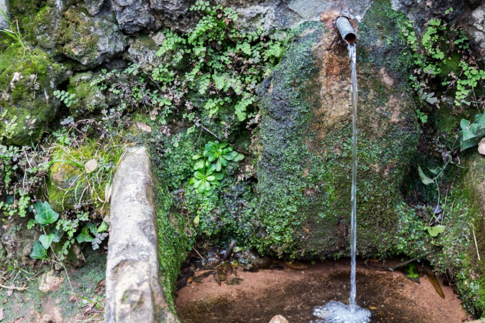 Font de les Rovires