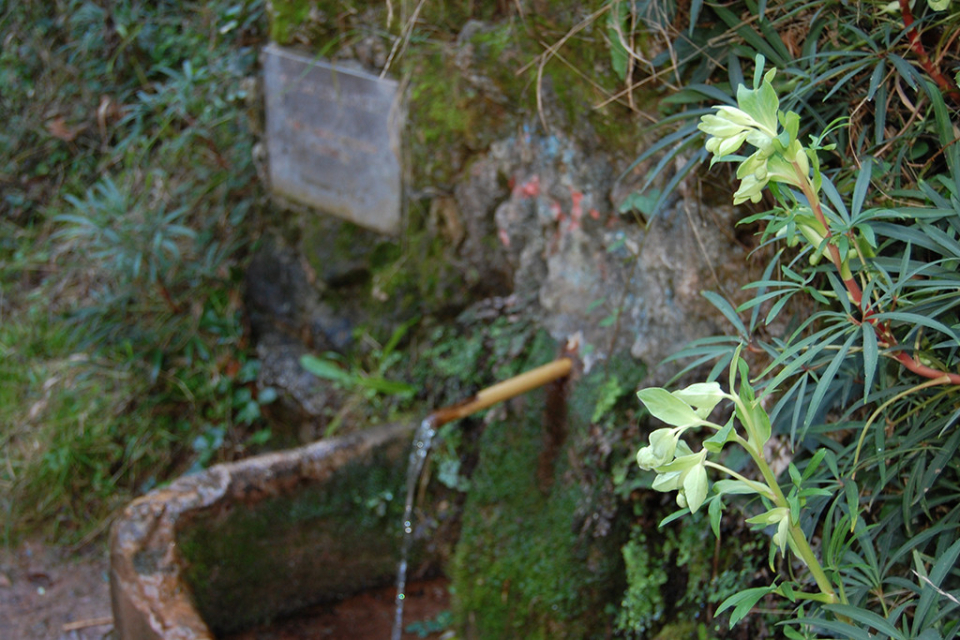 Font de les Rovires