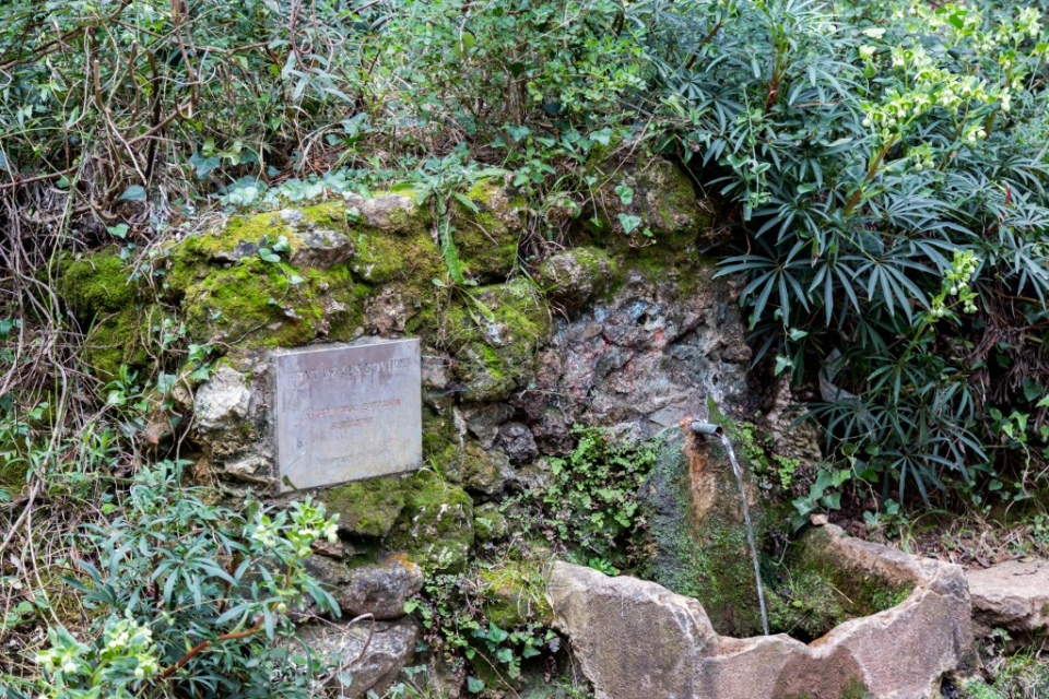 Font de les Rovires