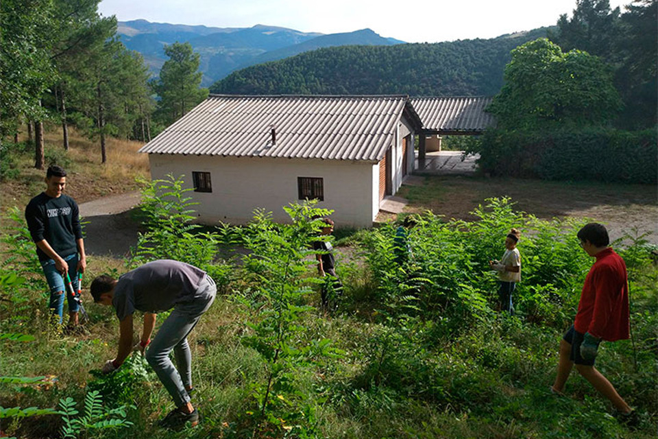 Camp de treball