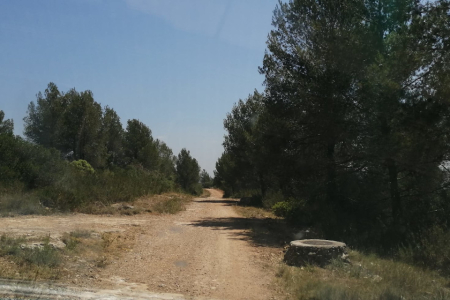 Prevenció incendis forestals