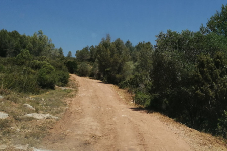 Prevenció incendis forestals