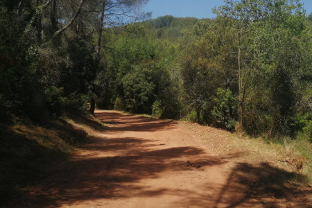 Prevenció incendis forestals