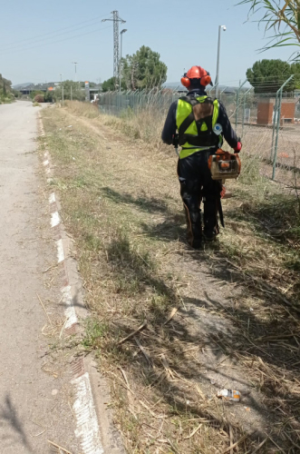 Prevenció incendis forestals