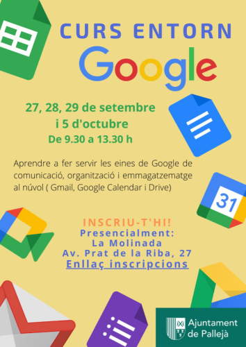 Cartell curs Google