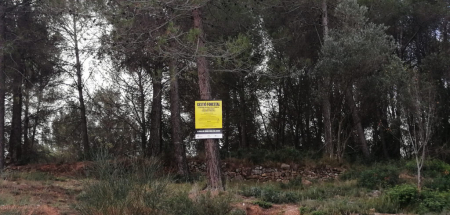 Treballs forestals