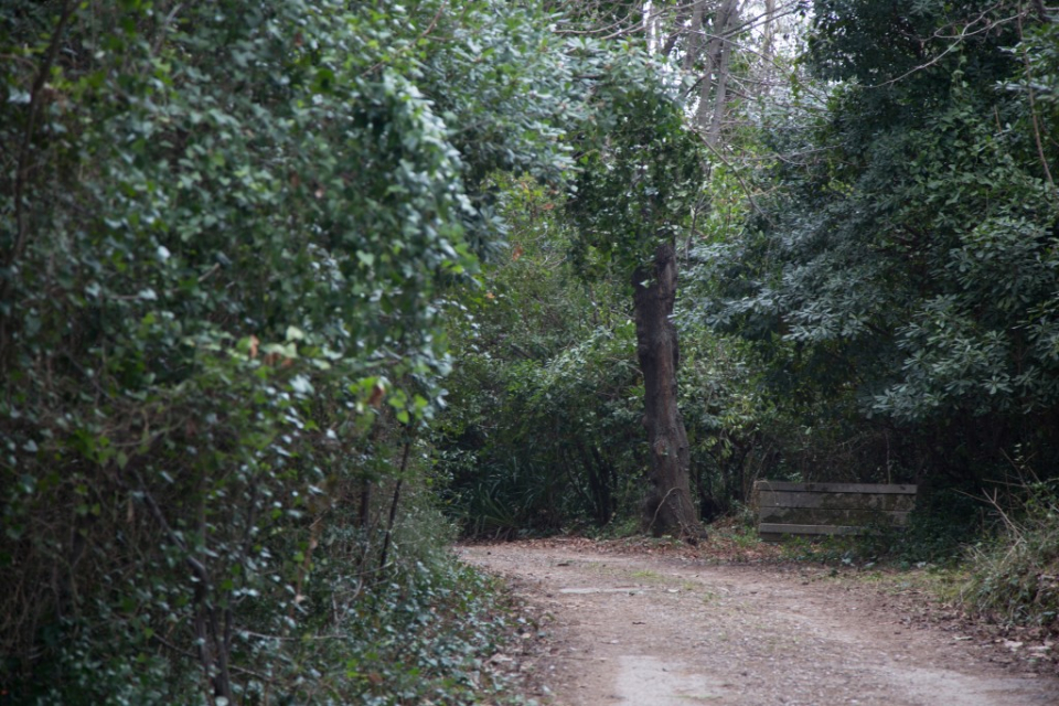 Espai d'interès natural