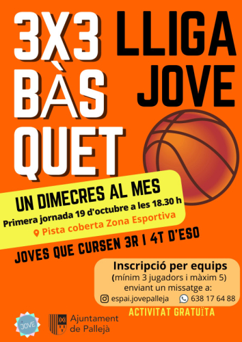 Lliga de bàsquet jove