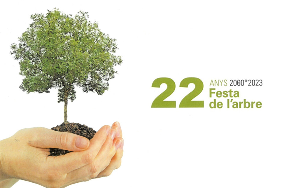 Festa de l'Arbre