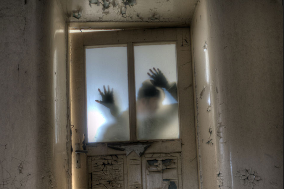 Hospital dels horrors